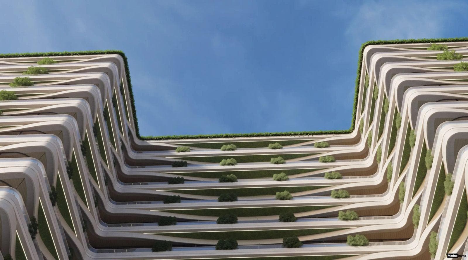 IVY GARDENS — thumbnail 4