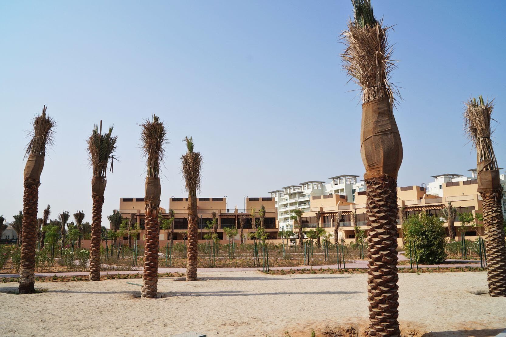 Townhouses At Jumeirah Islands — thumbnail 7